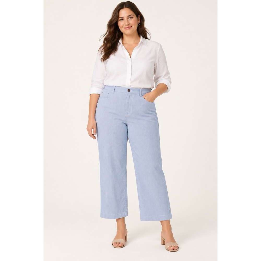 J.Crew Re-Imagined Women's Size 32 Blue White Pinstripe Wide Leg Crop Pants